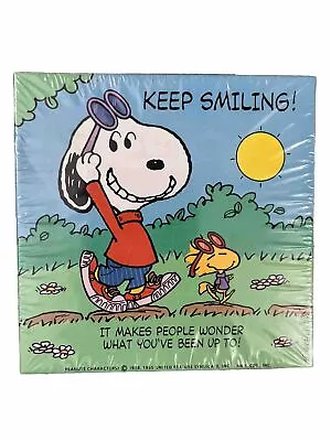 Vintage Hallmark Springbok SNOOPY  Keep Smiling  Mini Puzzle Woodstock SEALED • $19.99