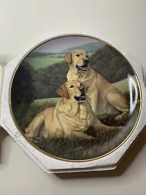 £14.99 • Buy GOLDEN COMPANIONS Franklin Mint Plate Labradors / Retriever Dogs Nigel Hemming