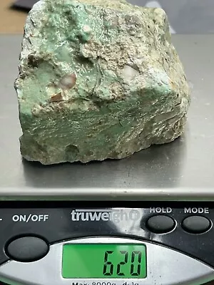 Lucin Variscite In Matrix Rough 620 Grams 3100 Carats • $100