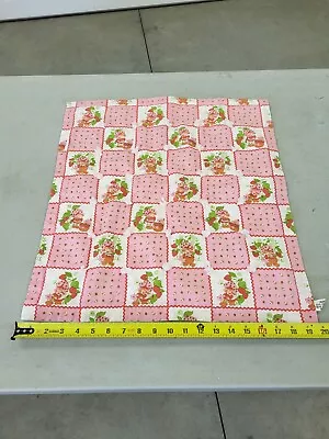 Vintage Strawberry Shortcake Doll Quilt Blanket 19x21 • $25.99