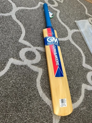 $499 • Buy Steve Waugh Genuine Signed Cricket Bat And Leather Cricket Ball Gunn + Moore