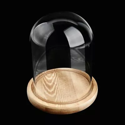 £16.79 • Buy 3 Sizes Decorative Glass Dome With Wooden Base Cloche Bell Jar DIY Display Stand