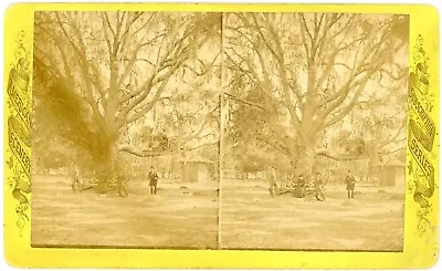 FLORIDA SV - Estate Scene - Hattie Wells - American Scenery 1880s • $45