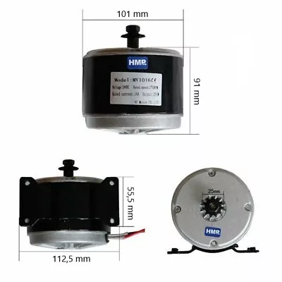 Electric RC Motor 24V 300W MY1016 E-Scooter HMParts • £61.55