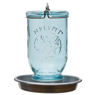 Mason Jar Glass Wild Bird Waterer • $26.98