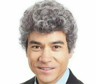 Hot Men Short Grey Mix Curly Fashion Male Cosplay Daily Party Hair Full Wig • $25.99