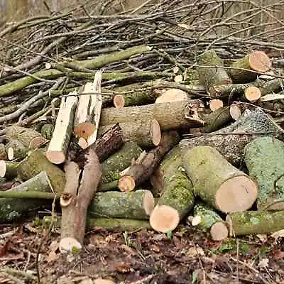 Eco-Friendly Firewood Logs UK Woodland For Outdoor Camp Fire Camping Wood 5-15kg • £14.99