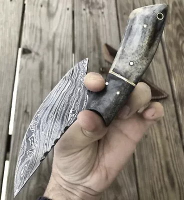$30.56 • Buy Hunter Skinning V42 Military Damascus Steel Dagger Knife Survival Camel Bone