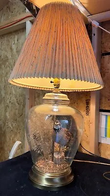 The Wildlife Collection Quail Taxidermy Lamp • $500