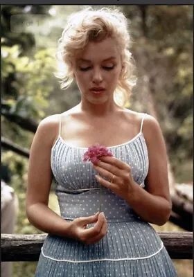 £34.99 • Buy Marilyn Monroe Flower  Dress Canvas Print Wall Art Picture Size 16x20 Inch 18mm