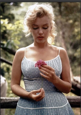 £34.99 • Buy Marilyn Monroe Flower  Dress Canvas Print Wall Art Picture Size 16x20 Inch 18mm