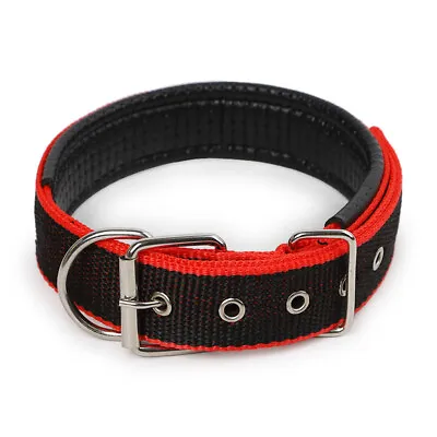 £3.49 • Buy Dog Collar Padded Eyelet Nylon Metal Pet Puppy Cat Adjustable Collars UK Stock