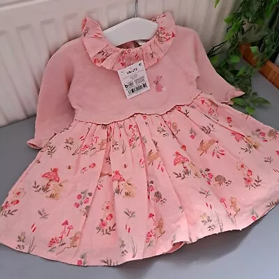 Baby Girl 3-6 Months BNWT NEXT Beautiful Half Knit Dress • £2.50