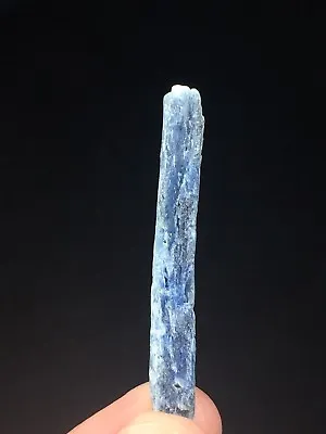 Kyanite Natural Crystal (48ct) • £14.99