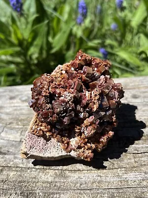 Dark Red Vanadinite Cluster- Natural 3.7” Morocco Vanadinite Crystals In Matrix • $95.95
