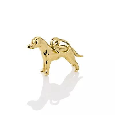 Solid 9ct Yellow Gold Labrador Charm Pendant • $163.90