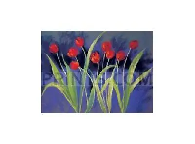 £237.59 • Buy Nel Whatmore Tulipa Giclee On Paper