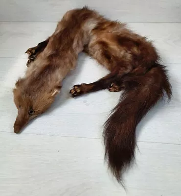 Vintage Fox Fur Scarf Tail Original Drape Stole Wrap Collar Taxidermy Genuine 80 • $125