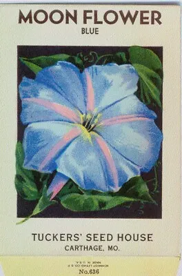 Vintage Flower Seed Packet  MOON FLOWER  1920s  NO SEEDS  Original Lithograph  • $8