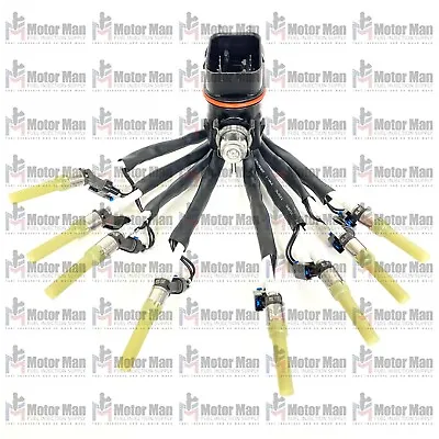 Motor Man MFI Spider Injector System For GM Vortec 5.0L 5.7L V8 1996-2002 • $319.99