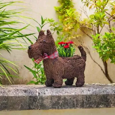 £10.70 • Buy Rattan Scottie Dog Planter Rustic Garden Ornament Westie Decor Tartan Ribbon