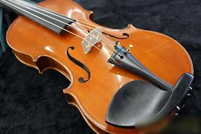 WERNITZGRUN MARKNEUKIRCHEN 4/4 Acoustic Violin 1924 With Hard Case & Bow Used • $7143