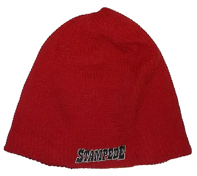 Idaho Stampede NBA D-League Reversible Knit Hat By Adidas • $14