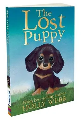 The Lost Puppy (Holly Webb Animal Stories) By Holly Webb Sophy Williams • £2.45