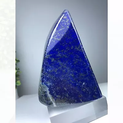 1.3LB Lapis Lazuli Freeform Rough Polished Tumble Stone AA Grade Crystal • $59.99