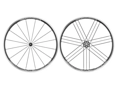 Campagnolo Zonda C17 Clincher Wheelset - Campagnolo Fw Body • $649.99