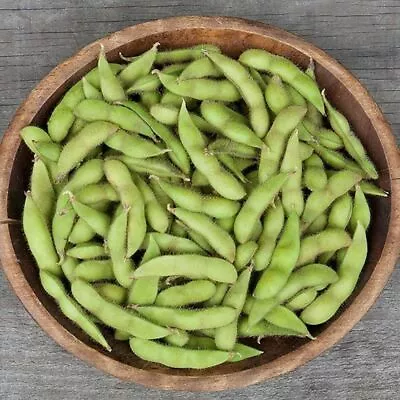 Chiba Green Edamame Soybean Seed - Heirloom Gourmet Garden Seeds (¼oz To 4oz) • $5.59