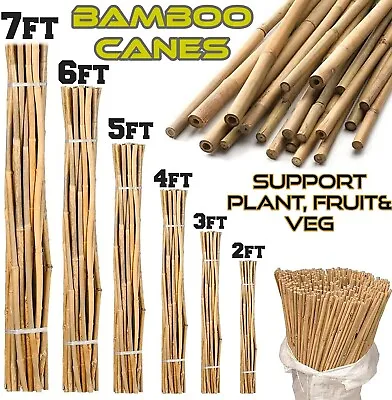 Bamboo Canes Heavy Duty Strong Garden Sticks Plant Support Flowers Stake • £6.99