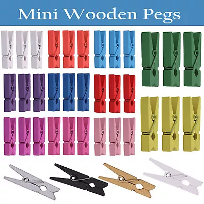 Mini Wooden Pegs Mixed Colour Craft Cloth Photo Wood Hanging 50pcs Spring Clips • £3.35