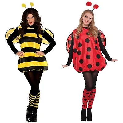 Ladies Cute Darling Bee And Ladybird Lady Bug Fancy Dress Book Week Costume Wing • £22.94