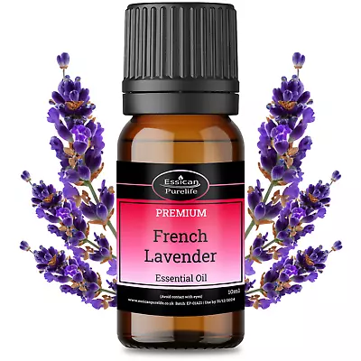 LAVENDER (French) Essential Oil Certified 100% Pure & Natural 10ml To 1000ml • £17.95