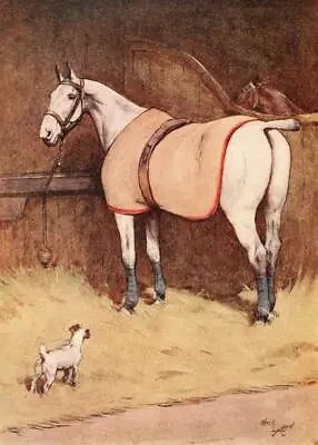 £3.99 • Buy Cecil Aldin White Ear & Peter, Dog Horse ReprInt Photo Picture No.2