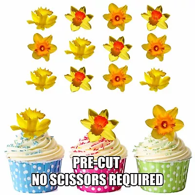 PRECUT 12 Flowers Yellow Daffodils Edible Cupcake Toppers Easter Decorations • £3.99