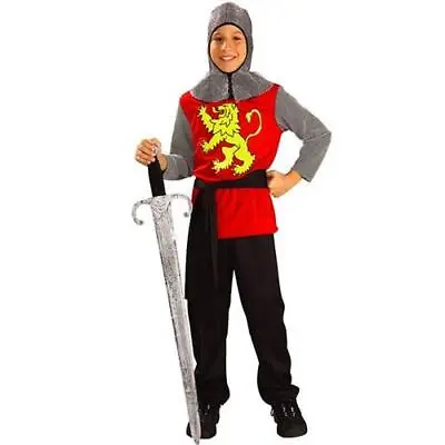 Boys Medieval Lord/ The Chronicles Of Narnia  Fancy Dress World Book Day Costume • £13.99