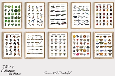 £3.99 • Buy Wall Art Print Unframed Photo Picture Wildlife Home Room Decor Prints A4