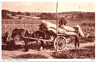 Hop Picking Loading Pokes  Original Postcard • £5.49