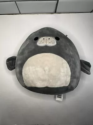 Squishmallow Matt The Manatee Dark Grey Plush Soft Toy Stuffed Animal 8  • $15.99