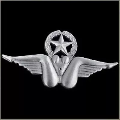 $11.92 • Buy Bush Pilot Wings Sexy Biker Pin W/  Locking Back For Vest Jacket Leather Denim