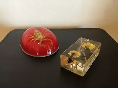 Lot Of 2…Vintage Scorpion & Flying Insects (Bees Wasps Ants) Encased In Lucite • $17.95