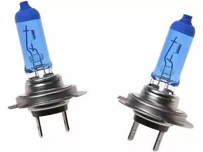 Low Beam Headlight Bulb For 2015 Volvo V60 Y422NH • $31.88