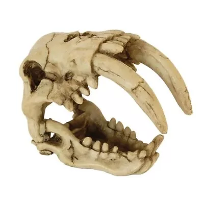 RepStyle Skull Saber Tooth Tiger Partial Hide For Small Reptiles And Snakes • £17.15