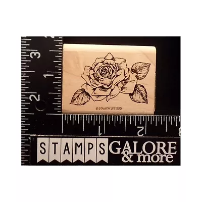 Stampin' Up! RUBBER STAMPS 1993 GARDEN ROSE BLOSSOM LEAVES FLOWERS #01 • $1.99