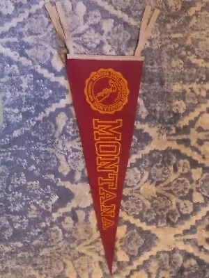 Vintage Montana State University Pennant • $60