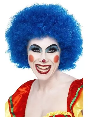 Crazy Clown Wig Blue • $7.45