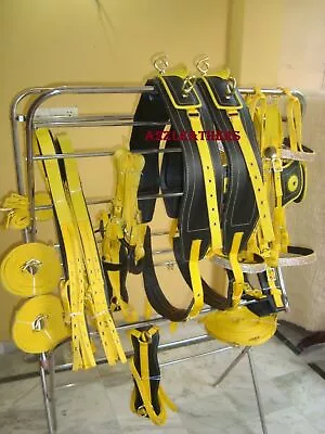 Exclusive Yellow/Black Driving Harness For Double Horse (5 Days Delivery By DHL) • $239.99