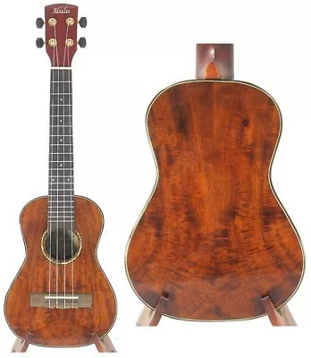$108 • Buy Alulu Solid Curly PQ Acacia Koa Concert 23 Inch Ukulele Natural Wood Grain BU916